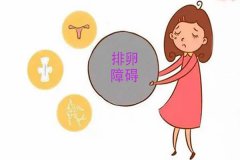 <b>排卵障碍做供卵试管婴儿大概需要多少钱？</b>