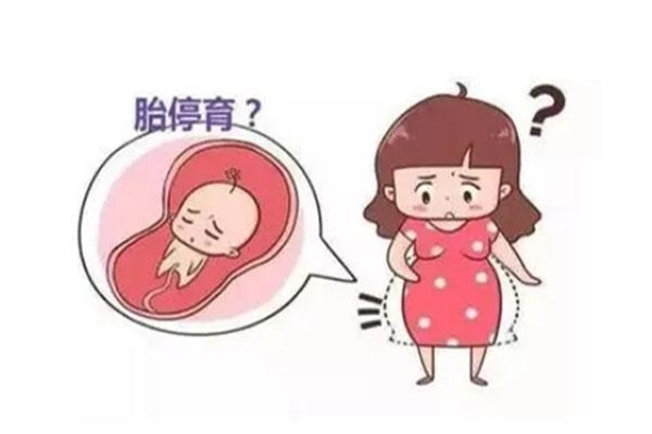 两次胎停后做三代试管影响成功率吗？有没有风险？