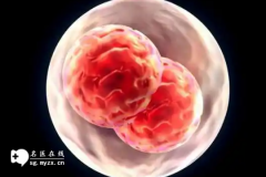 <b>高龄女性做第三代试管婴儿囊胚活检淘汰率高吗</b>