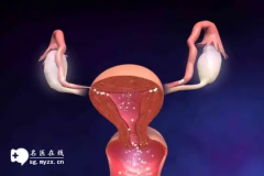 <b>29岁检查出残缺子宫做三代试管婴儿怀孕的几率大不大</b>