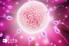 <b>22岁女性amh0.78不做试管婴儿可以自然怀孕成功吗</b>