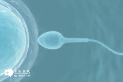 <b>男方基因有问题可以做第三代试管技术筛查吗</b>
