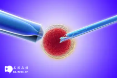 <b>做试管婴儿一天打一支促排针会让子宫肌瘤变大吗</b>