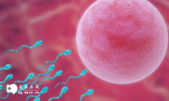 <b>有没有三代试管婴儿包成功不限制促排移植次数的机构</b>