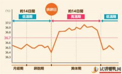 卵泡期对于自然怀孕还是试管婴儿取卵都是很关