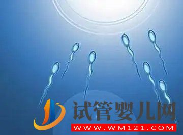 无精症怎样可以恢复精子(图1)