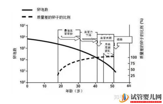 第三代试管婴儿完美解决染色体异常(图7)