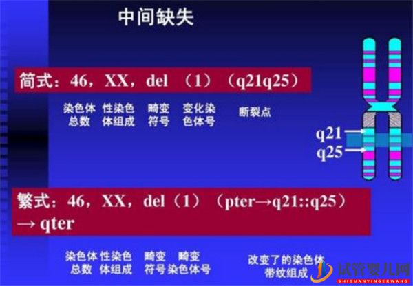 试管婴儿网:哪些遗传性疾病可以通过三代试管技术PGD_PGS筛查(图1)