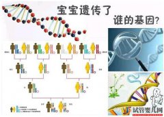 三代试管可以解决那些遗传病