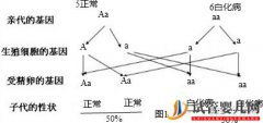 泰国三代试管PGD技术能解决白化病的遗传问题吗